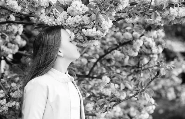 Touriste fille posant près de sakura. Tendre floraison. Enfant sur des fleurs roses de fond de sakura. Fille appréciant la fleur de cerisier ou sakura. Enfant mignon profiter de la nature le jour du printemps. Concept de fleur aromatique — Photo