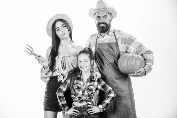 Concepto del festival Harvest. Agricultores familiares jardineros cosecha de calabaza aislado fondo blanco. Familia granjeros de estilo rústico orgullosos de cosecha de otoño. Los padres y la hija celebran las vacaciones de cosecha calabaza — Foto de Stock