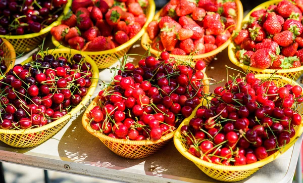 Vitamin and dieting. seasonal fruit. natural shopping. organic useful food. healthy lifestyle. farm market. summer berry market. ripe cherries cherry. red strawberry in basket. Berry background — Stock Photo, Image