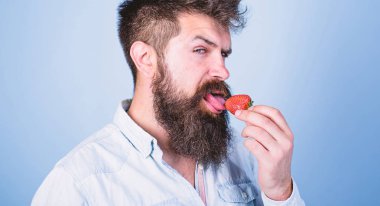 Yani nasıl tadı yaz. Adam yakışıklı seksi çilek dil yalama uzun sakallı hippi. Hipster sulu olgun kırmızı çilek tadını çıkarın. Adam yalama tatlı meyve. Erotik kavramı. Oral muamele