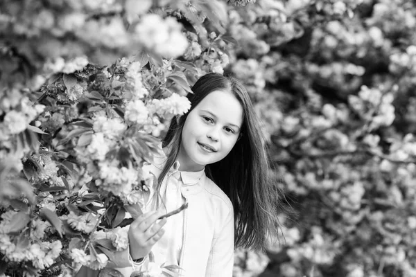 Dívčí turistická póza v blízkosti sakury. Rozkvetlé něžnost. Dítě na růžových květinách sakurského stromu. Dívka požívající třešňový květ nebo Sakura. Milé dítě si užijí Teplý jarní den. Koncepce aromatického květu — Stock fotografie