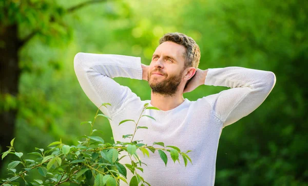 Doğanın barışçıl ortamı. Doğal güzellik ilaçları. Sağlıklı bir şekilde tutun. Doğa dinlenmek için Spa tesisi. Doğanın gücünü hissedin. Adam yakışıklı sakallı adam sabah doğa arka plan germe. Yeni gün tanışın — Stok fotoğraf