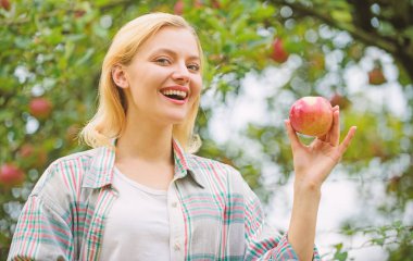 elma vitamini. bahar hasat. yaz meyvesi. sağlıklı dişler. Aç -lık. Meyve Bahçesi, elma bahçesinde bahçıvan kız. vitamin ve diyet gıda. Mutlu kadın elma yiyor. elma vitamin dolu. mükemmel piknik