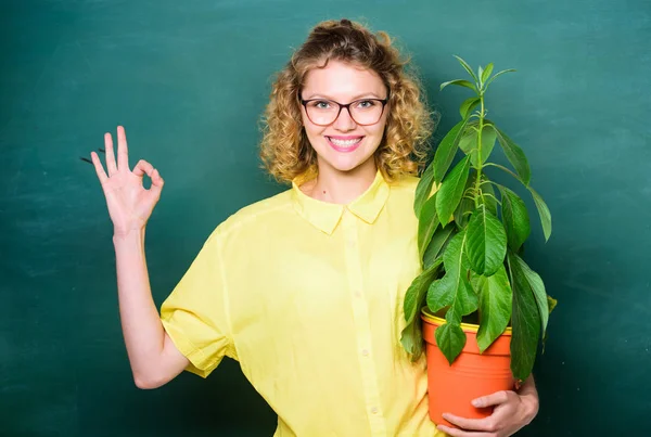 Botany education. Greenery benefits. Botany and nerd concept. Woman school teacher chalkboard background carry plant in pot. Take good care plants. Botany and biology lesson. Botanical expert — Stock Photo, Image