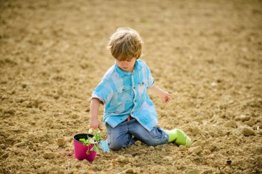 Çocuk küçük kürek ve pot bitki ile eğlenin. Tarlada dikim. Fidanları dikmek. Küçük çocuk tarlada çiçek dikiyor. Çiftlikte eğlenceli zaman. Mutlu çocukluk konsepti. Bahçede küçük yardımcı