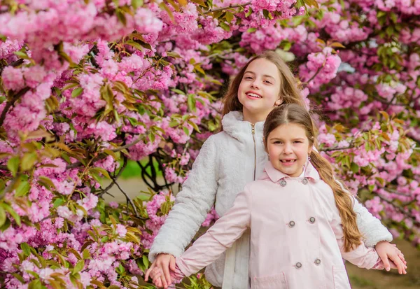 桜の背景のピンクの花の子供たち。植物学の概念。桜を楽しむ子供たち。花柔らかいピンクの雲。子供たちは暖かい春を楽しんでいます。桜の近くでポーズをとる女の子たち。花で失われた — ストック写真