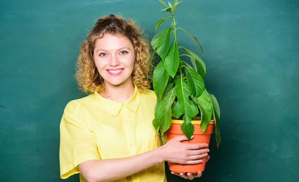 Botany is about plants flowers and herbs. Woman chalkboard background carry plant in pot. Take good care plants. Botany and biology lesson. Botanical expert. Botany education. Florist concept