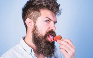 Erotik kavramı. Yani nasıl tadı yaz. Adam yalama tatlı meyve. Adam yakışıklı seksi çilek dil yalama uzun sakallı hippi. Hipster sulu olgun kırmızı çilek tadını çıkarın. Oral muamele