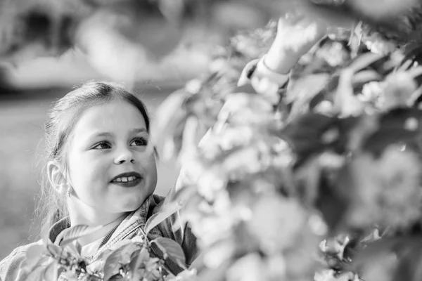 Letní prázdniny. Dětská krása. šťastná dívka v třešňově květině. Kvetoucí strom Sakura. vůně, alergie. potřebou. Přírodní kosmetika pro kůži. malá holčička v jarním květu. Šťastný jarní den — Stock fotografie