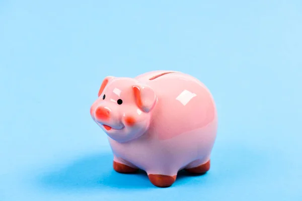 income management. financial problem. piggy bank on blue background. planning budget. money saving. Bank collector service. Piggy bank adorable pink pig. Lots of money