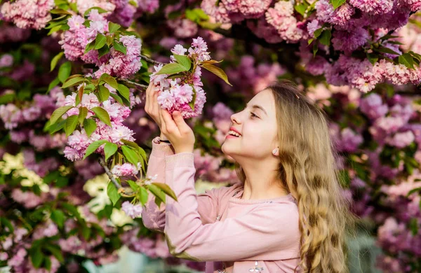 Regarde là-bas. l'été. La beauté de l'enfance. odeur de fleur, allergie. heureuse fille en fleur de cerisier. Sakura arbre en fleurs. spa de soins de la peau. Cosmétiques naturels pour la peau. petite fille enfant au printemps fleur fleur — Photo