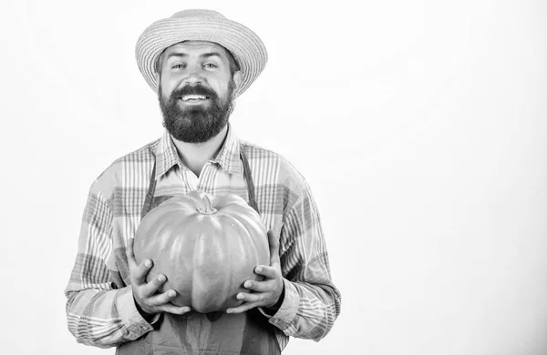 Disfrutando de una comida sabrosa. hombre barbudo granjero mantenga gran calabaza. Festival de la cosecha. verduras útiles. rica cosecha de otoño. vitamina estacional. comida natural. Feliz Halloween. producto saludable. hombre con calabaza —  Fotos de Stock