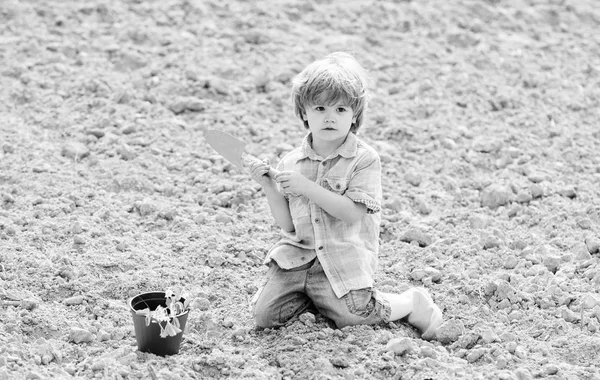 Un petit garçon plantant des fleurs dans un champ. Du bon temps à la ferme. Joyeux concept d'enfance. Enfant s'amuser avec une petite pelle et planter en pot. Planter dans le champ. Planter des semis. Petite aide dans le jardin — Photo