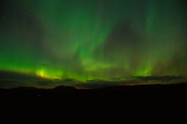 reykjavik, İzlanda yukarıda Kuzey ışıkları. Kutup ışıkları ya da Kuzey değnek reykjavik, İzlanda. İzlanda'daki Kuzey ışık güzel yeşil aydınlatma gökyüzünde. Turizm ve seyahat. saf güzellik.