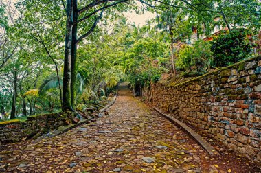 çakıl, tropikal orman ahşap veya yağmur ormanları arasında taşlı yol