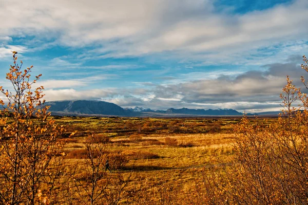 Island vanligt liggande vy med fält i reykjavik. hösten landskap av vanligt thingvellir. väder och klimat. natur och ekologi. natur platser för att stoppa. känsla av frihet. Island-bergen. — Stockfoto
