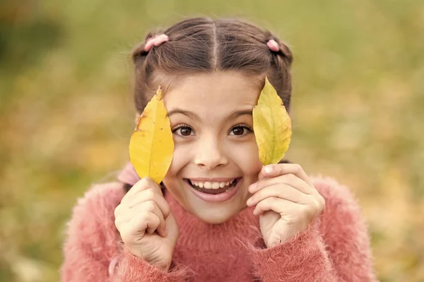 Šťastná holčička v podzimním lese. Malé dítě s podzimním listím. Šťastné dětství. Školní čas. Podzimní listí a příroda. Módní krása. Dobrou náladu za každého počasí. Čerstvý vzduch a dobrou náladu — Stock fotografie