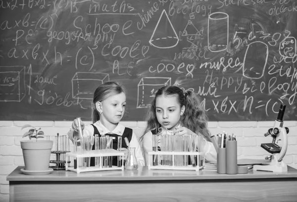 Meninas na aula de química da escola. Parceiros de laboratório. Crianças ocupadas com experiências. Tubos de ensaio com substâncias coloridas. Análise química e observação da reação. Equipamento escolar para laboratório — Fotografia de Stock