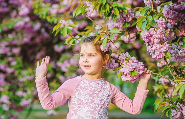 Piękny kwiat. Dziewczyna tło kwiat wiśni. Wesołych wakacji. Park i ogród. Dziewczynka w kwiecie wiosennego kwiatu. Ciesz się zapachem delikatnego, słonecznego dnia. Koncepcja kwiatu Sakura — Zdjęcie stockowe