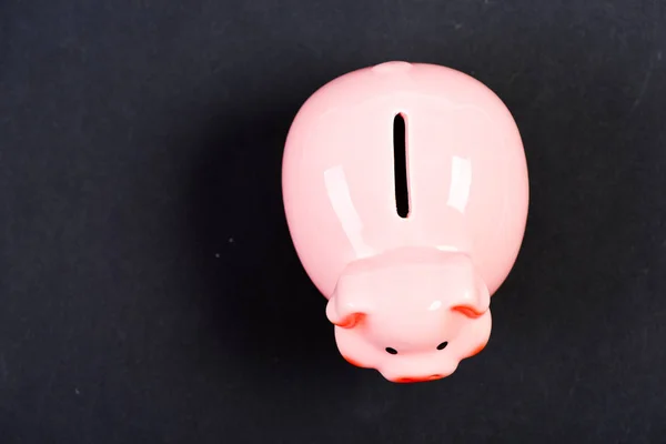 Piggy bank adorable pink pig close up. Accounting and family budget. Piggy bank symbol of money savings. More ideas for your money. Finances and investments bank. Bank deposit. Financial education