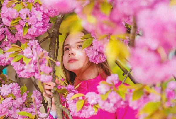 Concept d'allergie au pollen. Les enfants apprécient le sakura aux fleurs de cerisier. Enfant sur fond de sakura fleurs roses. Enfant profiter de la vie sans allergie. Remède contre les allergies. Je renifle des fleurs. Fille appréciant arôme floral — Photo