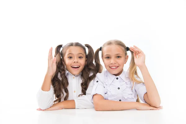 As alunas sentam-se à secretária fundo branco. Amigos emocionais das alunas. De volta à escola. Conceito de educação. Meninas bonitas melhores amigos. Adoráveis alunas. Estilo formal. Infância feliz — Fotografia de Stock