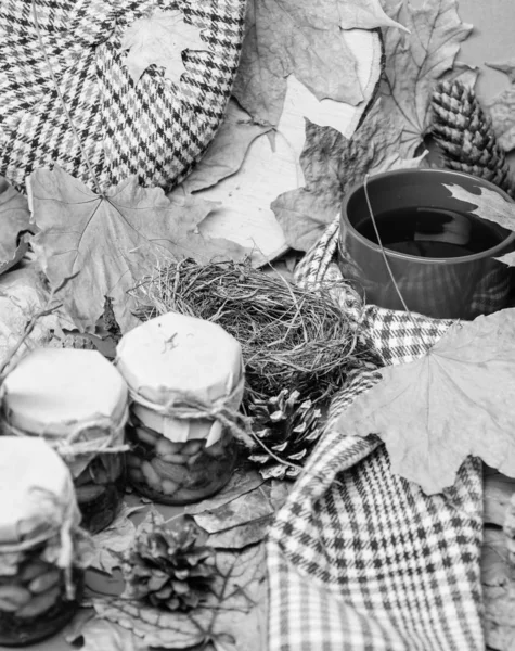 Cachecol de chapéu e mel doces naturais em jarros perto de caneca de fundo de chá coberto folhas caídas. Os doces caseiros naturais da temporada de outono mantêm-se saudáveis. Bebida outonal com doces naturais caseiros — Fotografia de Stock