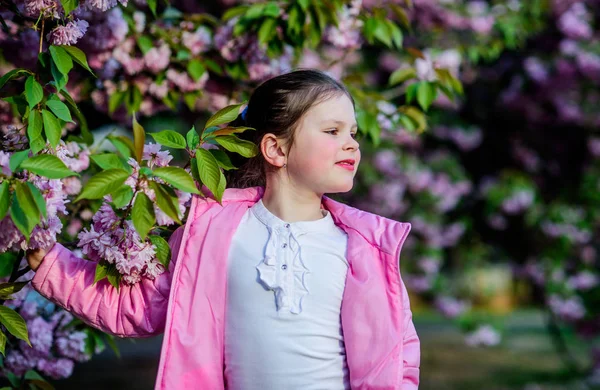 Malá holčička v jarním květu. Užívejte si vůně něžného kvete slunečného dne. Koncept sakurské květiny. Nádherná květinová krása. Pozadí s třešňovou květinou. Šťastné jarní prázdniny. Park a zahrada — Stock fotografie
