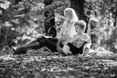 Aile pikniği rahatlayın. Anneler günü. Anne küçük çocuğunu seviyor. Bahar havası. Mutlu bir aile günü. Güneşli hava lar rahatla. Sağlıklı yiyecekler. Anne ile mutlu oğlu sonbahar ormanda dinlenmek. çocuk günü