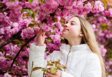 İhale çiçeklenme. Aromatik çiçek konsepti. Sakura'nın yanında poz veren kız turist. Sakura ağacı arka plan pembe çiçekler üzerinde Çocuk. Kız kiraz çiçeği veya sakura zevk. Sevimli çocuk sıcak bahar günü keyfini çıkarın