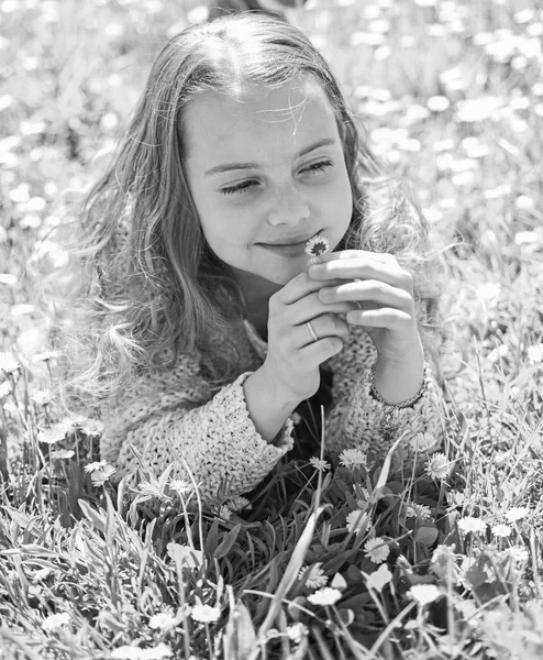 Flicka liggande på gräset, grassplot på bakgrund. Känslighet-konceptet. Barn njuta av soliga vårvädret liggandes på ängen med daisy blommor. Flicka på leende ansikte innehar daisy blomman, nosar arom — Stockfoto