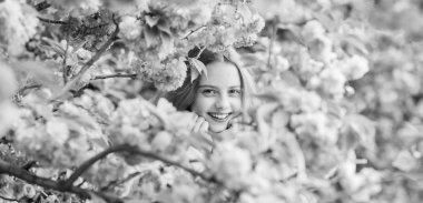 Çiçekte kaybolmuş. Sevimli çocuk ılık bahar günü tadını çıkarın. İhale çiçeklenme. Sakura'nın yanında poz veren kız turist. Sakura ağacı arka plan pembe çiçekler üzerinde Çocuk. Botanik kavramı. Kiraz çiçeği sakura zevk Kız