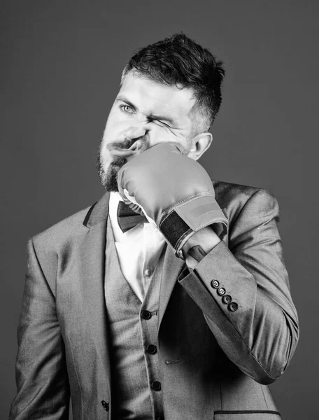 knockout and energy. Fight. Business and sport success. powerful man boxer ready for corporate battle. businessman in suit and bow tie. bearded man in boxing gloves punching. Strength and motivation