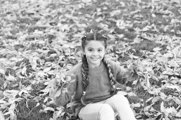 Осіннє листя і природа. Щаслива дівчинка в осінньому лісі. Маленька дитина з осіннім листям. Щасливе дитинство. Шкільний час. Не поспішайте. Готові до нових пригод. Свіже повітря і гарний настрій — стокове фото