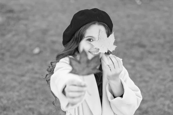 Criança com folhas de bordo de outono andar. O aconchego do outono é por aí. Menina animada sobre a temporada de outono. Outono estação quente momentos agradáveis. Menina criança sorridente rosto segurar folhas de bordo — Fotografia de Stock