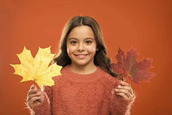 Child enjoy fall season. Girl cute kid orange background with fallen leaves. Dry maple leaves in her hands. Fall season concept. Hair care in autumn tips and ideas. Fall is on her mind