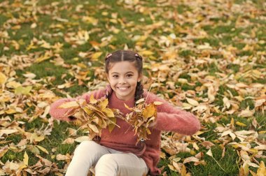 Sonbahar yaprakları ile küçük çocuk. Sonbahar ormandaki mutlu küçük kız. Mutlu çocukluk. Okul zamanı. Sonbahar yaprakları ve doğa. Sonsuza kadar burada kalacaktı. Moda güzellik. Özgür ve rahat hissediyorum