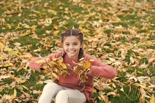 Kis gyerek, őszi levelekkel. Boldog kis lány az őszi erdő. Boldog gyermekkor. Iskola idő. Őszi levelek és a természet. Én kíván maradni örökre itt. Trendi szépség. Szabad és nyugodt érzés — Stock Fotó
