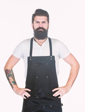 Sakallı hipster önlük giyer. Adam acımasız hipster pişirir. Fast food restoran. Ciddi bir sakallı aşçı. Restoran personeli. Hipster profesyonel barista apron üniforma. Garson ya da barmen. Hazır servis içeceği
