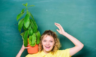 Houseplants faydaları ve sağlık üzerinde olumlu etkisi. Kolay ev bitkileri. İyi bak, ev bitkilerine iyi bak. Kız saksıda bitki tutun. Çiçek çiyi. Botanik bitkiler çiçekler ve otlar hakkında. Ev bahçesi