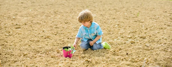 El chico se sienta en el suelo plantando flores en el campo. Tiempo divertido en la granja. Concepto de jardinería. Niño divirtiéndose con pala pequeña y planta en maceta. Plantando plántulas. Plantando en el campo. Pequeño ayudante en el jardín —  Fotos de Stock