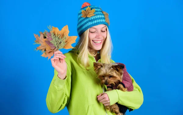 regular flea treatment. Pet health tips for autumn. Girl hug cute dog and hold fallen leaves. Woman carry yorkshire terrier. Take care pet autumn. Veterinary medicine concept. Health care for dog pet