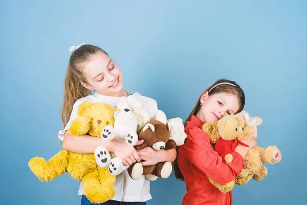 Försäljning av välgörenhet. Kärlek och vänskap. Barn bedårande söta flickor spelar mjuka leksaker. Lycklig barn dom. Barnomsorg. Sisters bästa vänner spela. Söt barn dom. Barn doms konceptet. Mjukhet och ömhet — Stockfoto