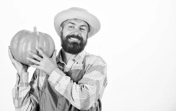 Agricultura y agricultura. Agricultura semillas fertilizante y cosecha. Concepto agrícola. Hombre barbudo granjero rústico usar delantal presentando calabaza fondo blanco. Granjero sombrero de paja llevar calabaza grande —  Fotos de Stock