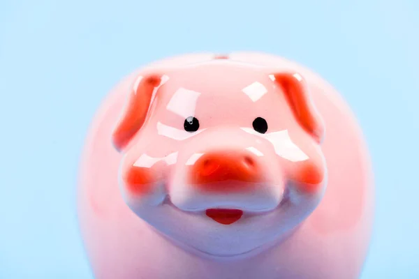 Piggy bank adorable pink pig close up. Accounting and family budget. Finances and investments bank. Bank deposit. Financial education. Piggy bank symbol of money savings. More ideas for your money