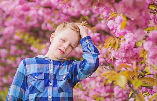 Jeune garçon posant près de sakura. Enfant sur des fleurs roses de fond de sakura. Concept botanique. Un type qui aime les cerisiers en fleurs. Tendre floraison. Enfant mignon profiter de la chaude journée de printemps. Visite du jardin sakura — Photo