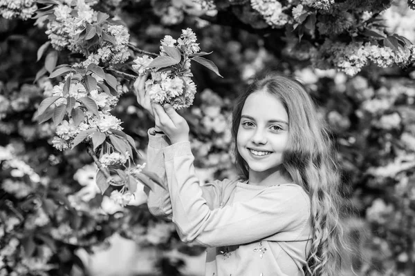 Happy spring vacation. Park and garden. Girl little child in spring flower bloom. Enjoy smell of tender bloom sunny day. Sakura flower concept. Gorgeous flower beauty. Girl cherry flower background — Stock Photo, Image