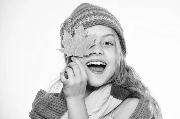 Top autumn beauty tips. Fall skin care tips from dermatologists. Beauty and health concept. Girl cute face wear knitted autumn hat and scarf hold leaf white background. Skin care tips for fall