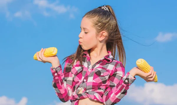 Χορτοφαγική ιδέα διατροφής. Το μικρό κορίτσι κρατάει κίτρινο καλαμπόκι στο φόντο του ουρανού. Κορίτσι χαρούμενο κρατήσει ώριμα κάλους. Συγκομιδή και διασκέδαση. Τα παιδιά λατρεύουν την τροφή καλαμποκιού. Καλαμπόκι χορτοφαγικό και υγιές βιολογικό προϊόν — Φωτογραφία Αρχείου