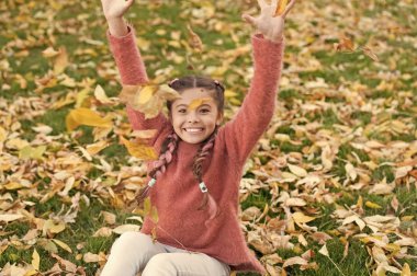 Sonbahar yaprakları ile küçük çocuk. Sonbahar yaprakları ve doğa. Mutlu çocukluk. Okul zamanı. Sonbahar ormandaki mutlu küçük kız. Çok güzel. Her türlü hava, iyi bir ruh hali. Delirmek. Tamamen ücretsiz duygu
